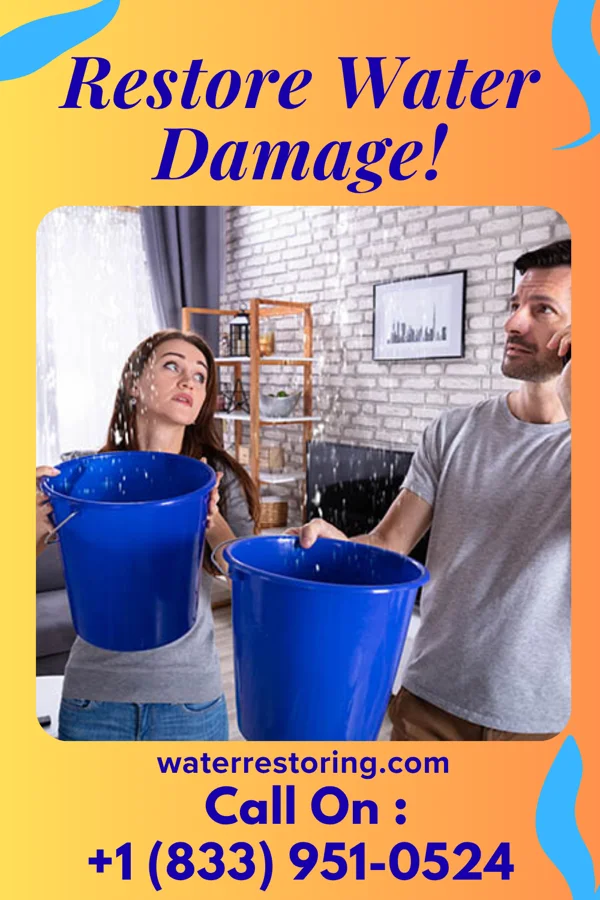 water restoration Citywide Recovery Inc Chalco