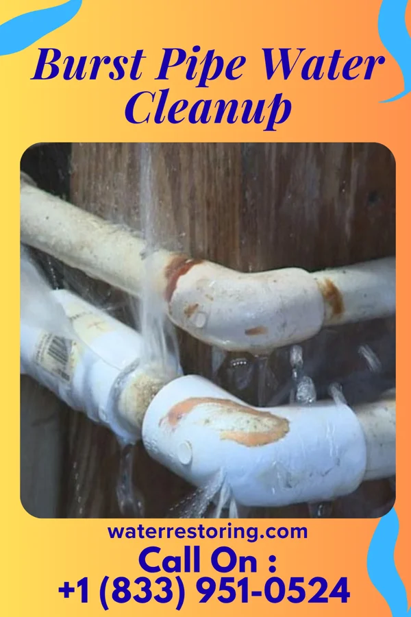 Burst Pipe Water Cleanup in Chalco, NE