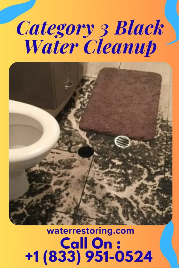Category 3 Black Water Cleanup in Chalco, NE