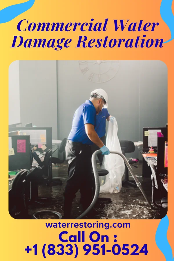 Commercial Water Damage Restoration in Chalco, NE
